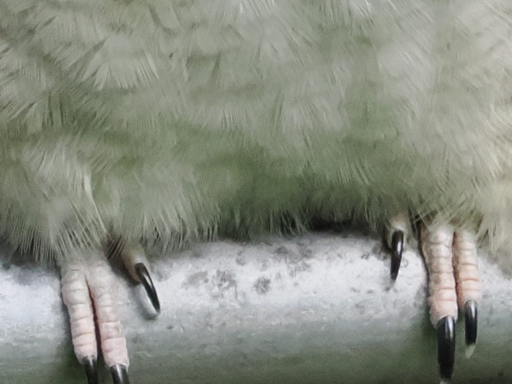 Click image for larger version  Name:	JC089042-scr.jpg Views:	0 Size:	346.1 KB ID:	953455