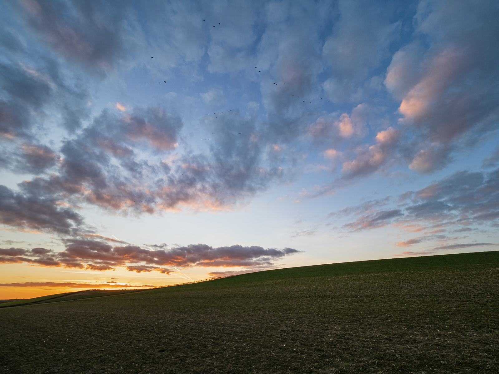 Click image for larger version

Name:	J2262105 LR_1600.jpg
Views:	84
Size:	876.1 KB
ID:	953557