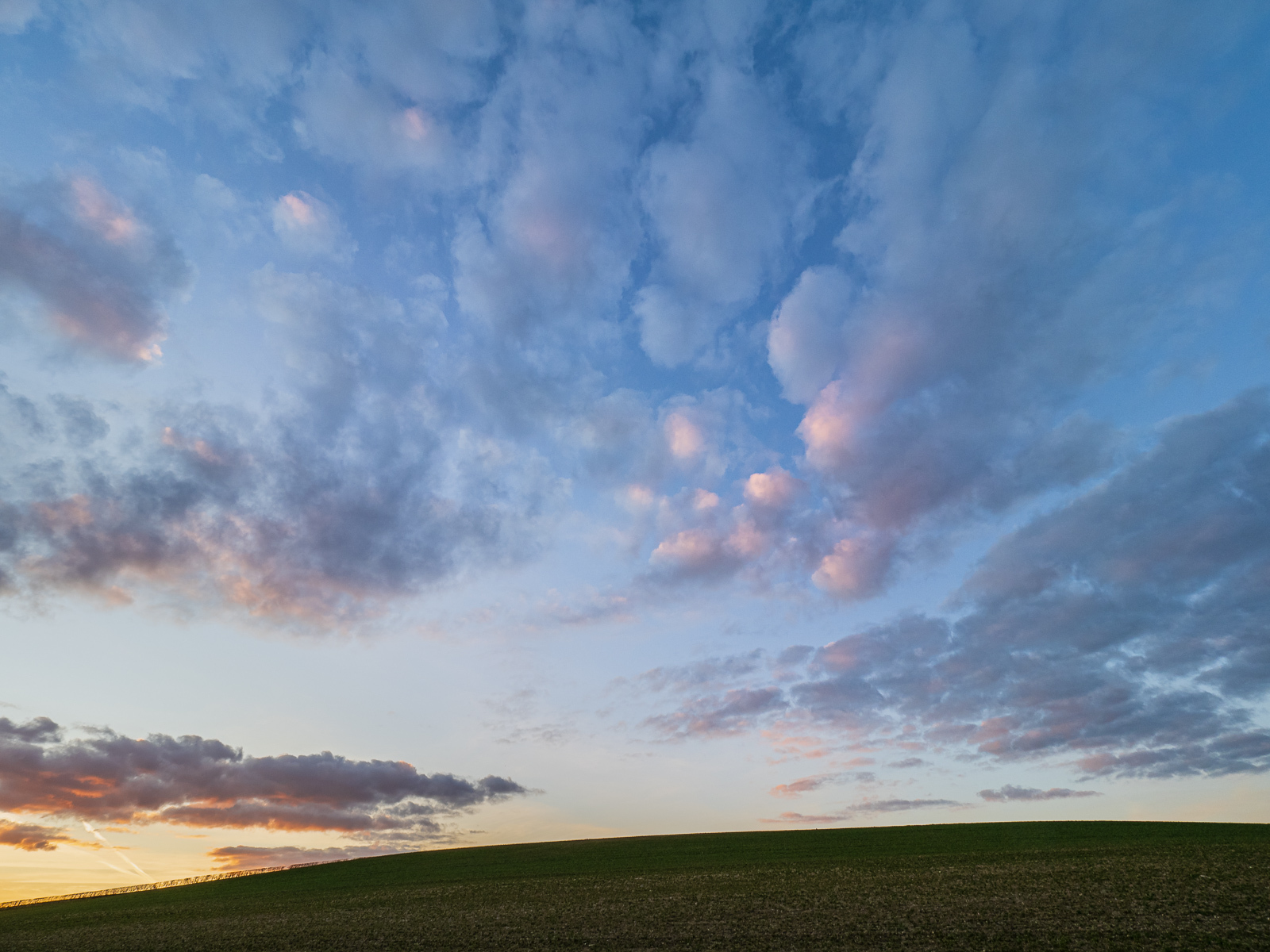 Click image for larger version

Name:	J2262107 LR_1600.jpg
Views:	86
Size:	715.1 KB
ID:	953558