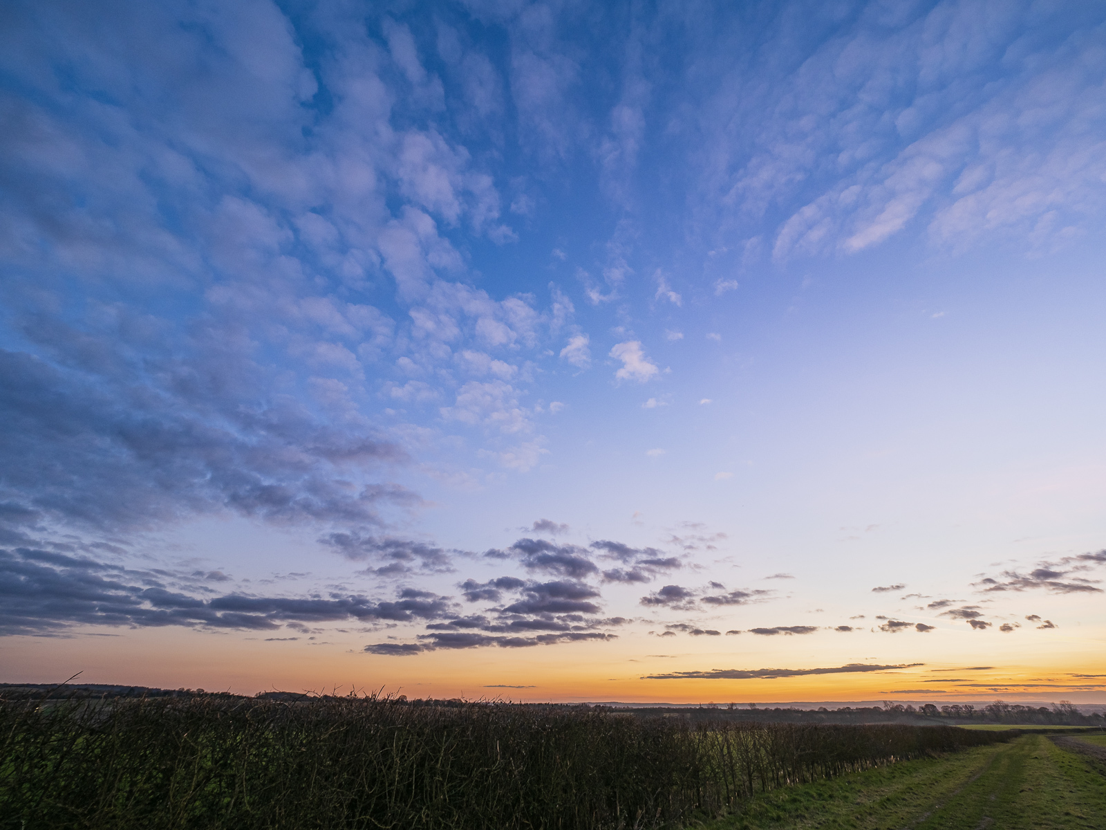 Click image for larger version

Name:	J2262110 LR_1600.jpg
Views:	78
Size:	785.2 KB
ID:	953559