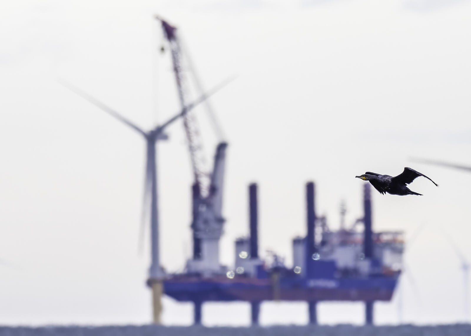 Click image for larger version

Name:	going up .jpg
Views:	427
Size:	84.7 KB
ID:	953906