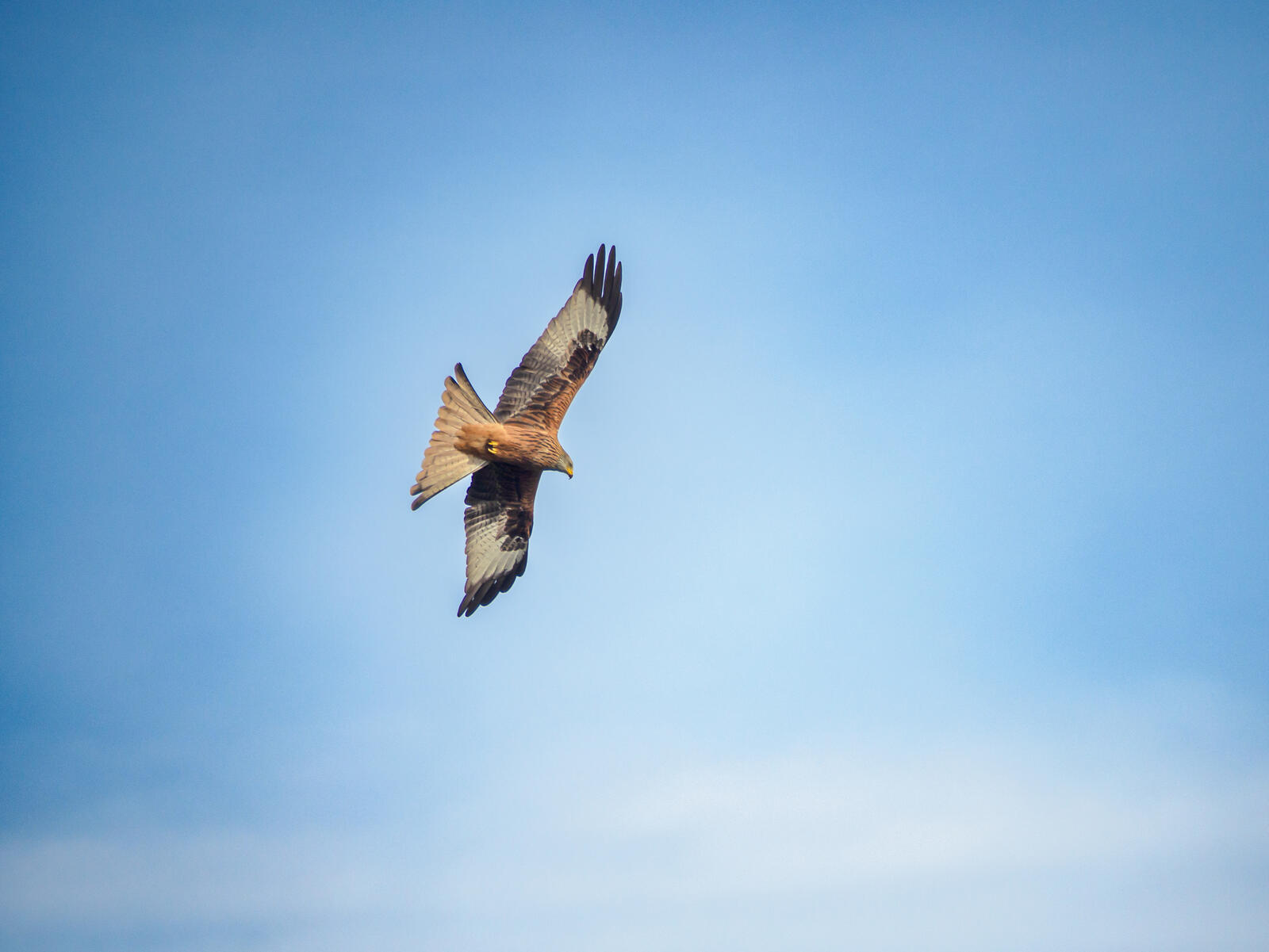 Click image for larger version

Name:	PC280016.jpg
Views:	486
Size:	87.1 KB
ID:	955258