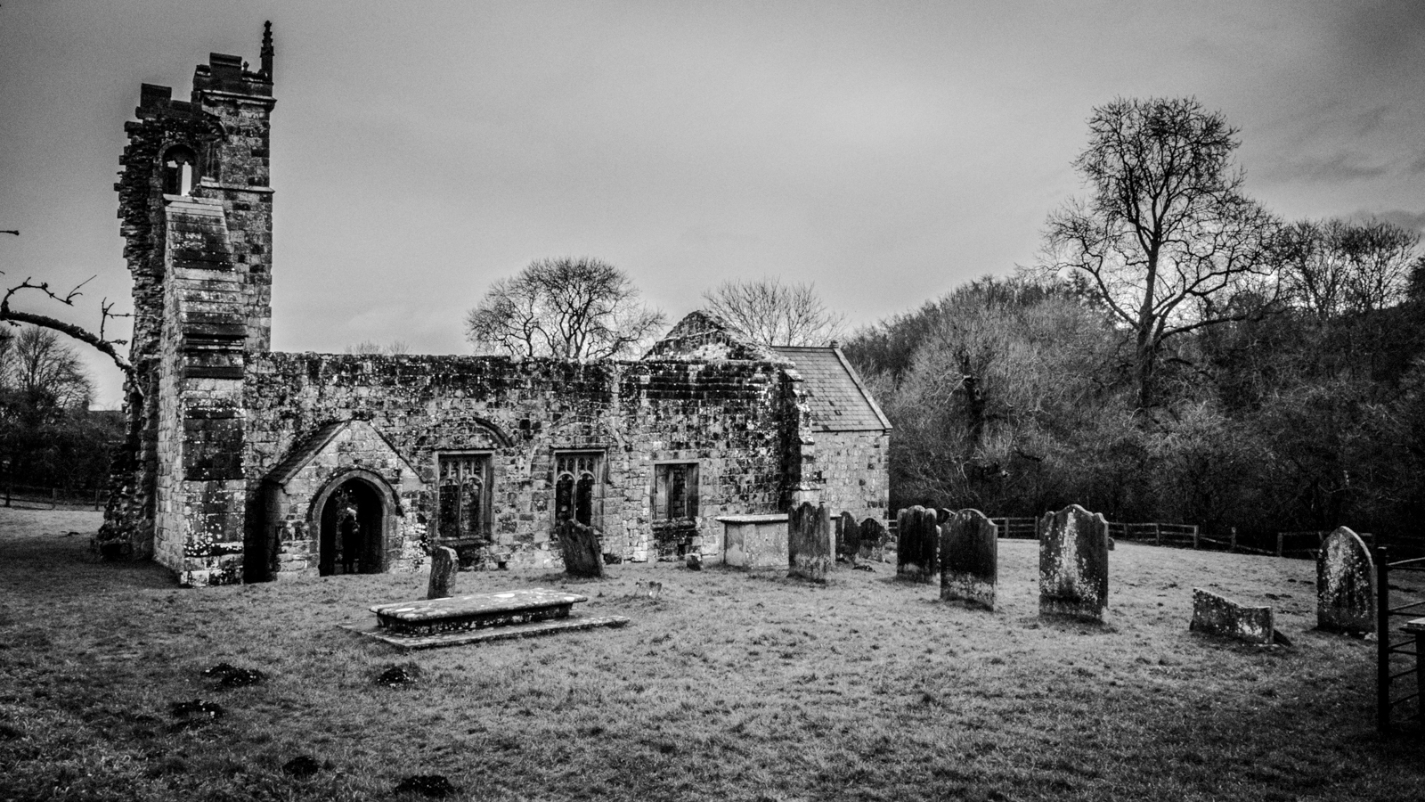 Click image for larger version  Name:	PC287331.jpg Views:	0 Size:	1,016.7 KB ID:	955500