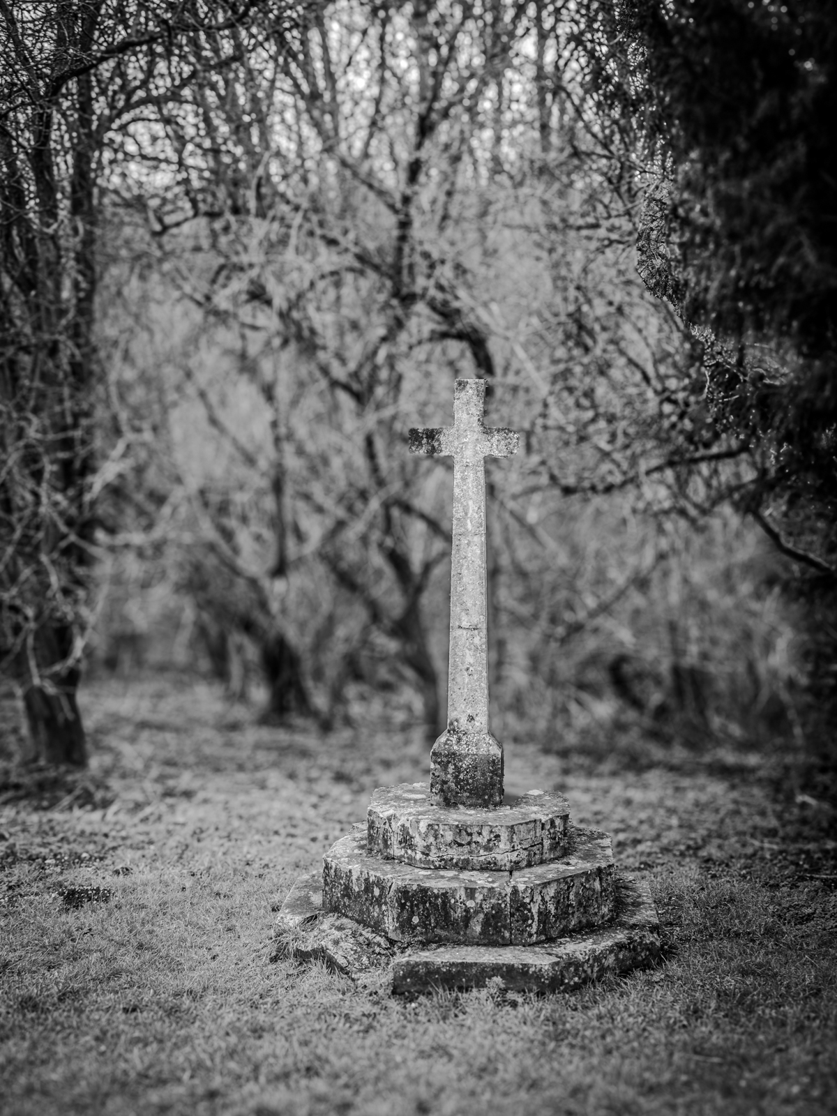 Click image for larger version  Name:	PC287333.jpg Views:	0 Size:	1.03 MB ID:	955501