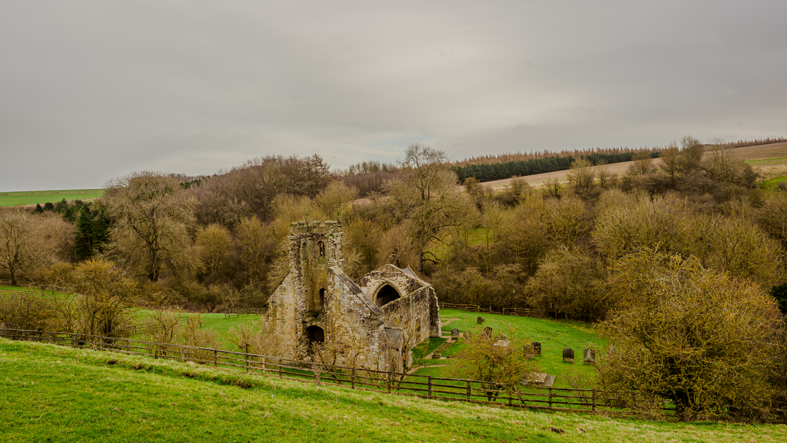 Click image for larger version  Name:	PC287334-Enhanced-NR.jpg Views:	0 Size:	1.64 MB ID:	955503