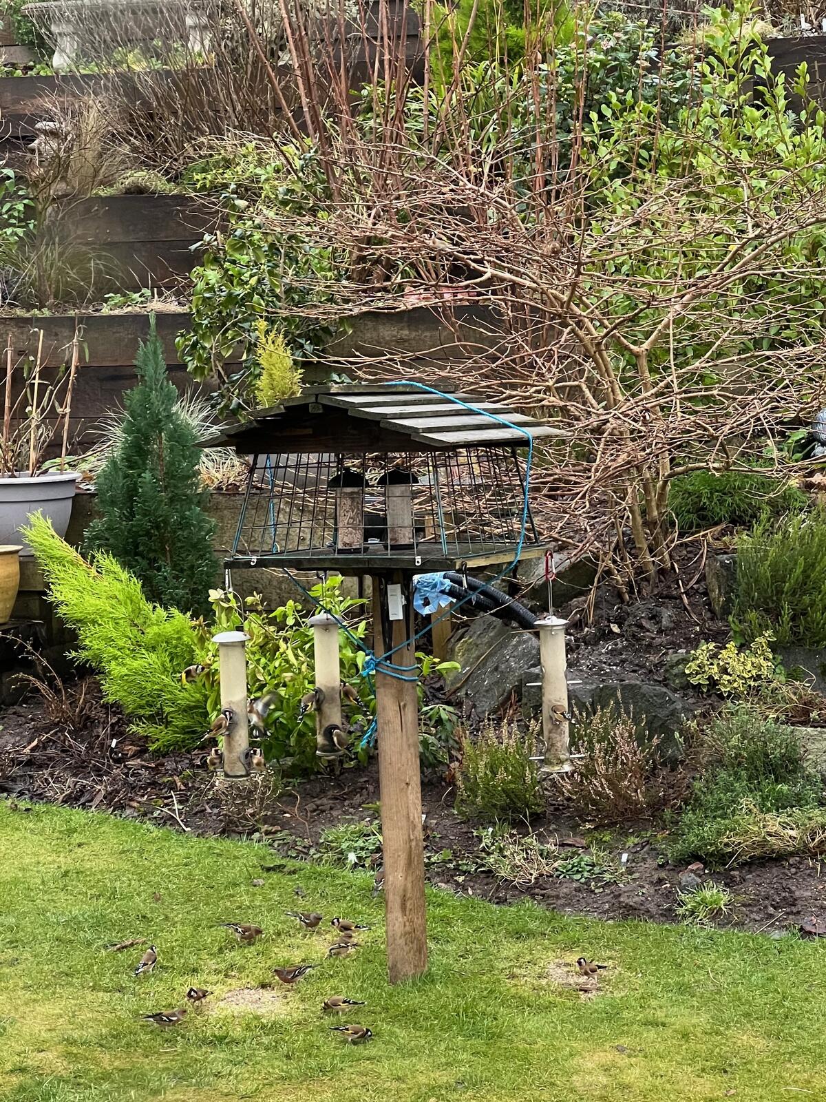 Click image for larger version

Name:	IMG_6511.jpg
Views:	74
Size:	681.8 KB
ID:	957002