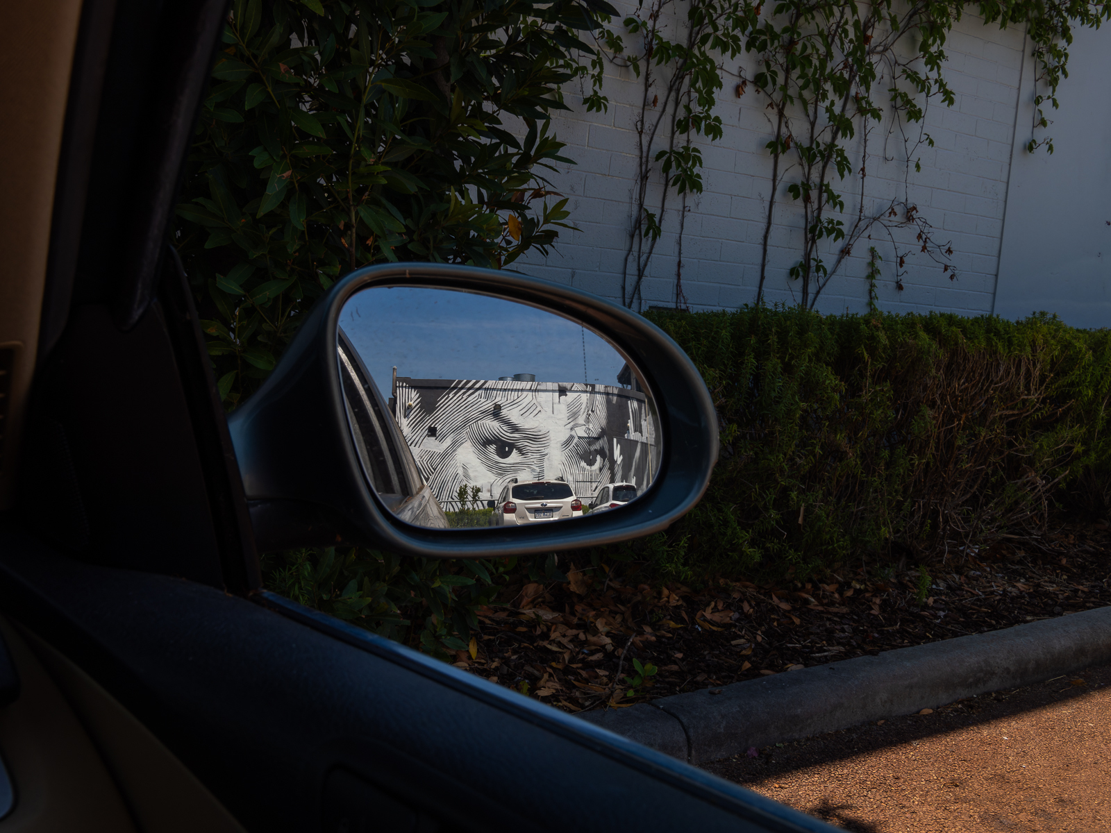 Click image for larger version

Name:	eyes-1.jpg
Views:	506
Size:	1.28 MB
ID:	958125