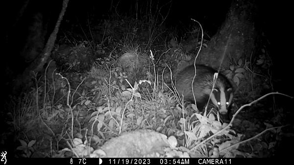 Click image for larger version

Name:	grasswoods 100006.jpg
Views:	57
Size:	133.4 KB
ID:	958186