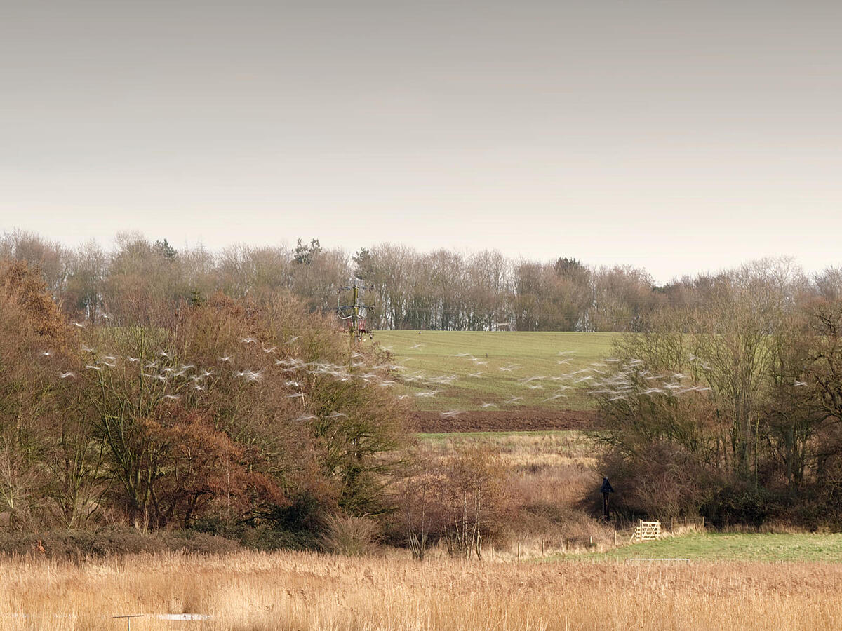 Click image for larger version

Name:	P2103713-ORF.jpg
Views:	455
Size:	262.2 KB
ID:	961780