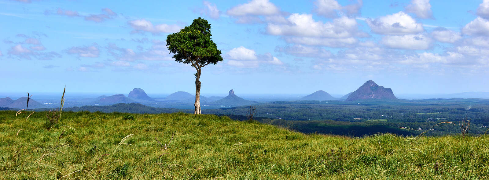 Click image for larger version

Name:	OM1G9082-ORF 1.jpg
Views:	607
Size:	189.9 KB
ID:	965178