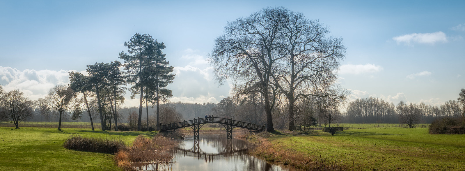 Click image for larger version

Name:	53565638844_701d64ff98_h.jpg
Views:	1757
Size:	349.6 KB
ID:	965867