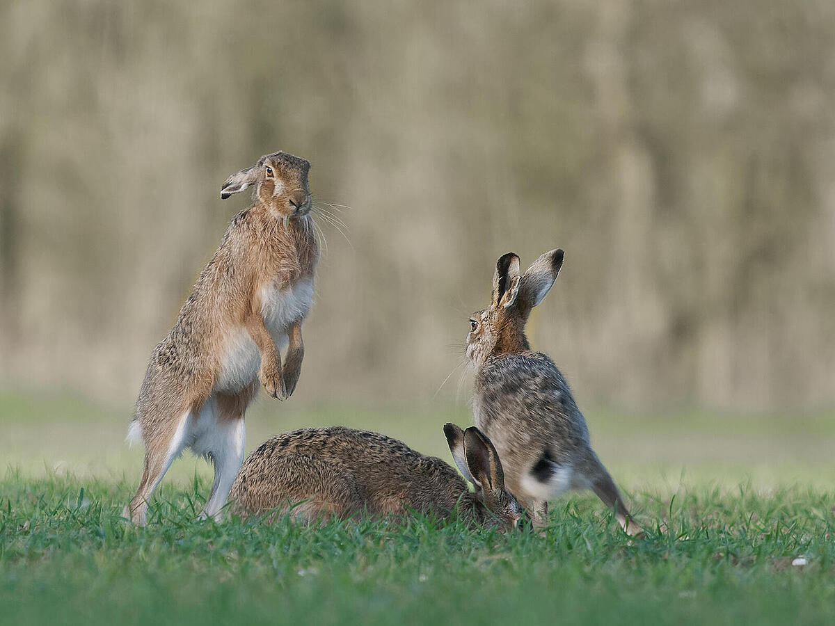 Click image for larger version

Name:	P3240729fb.jpg
Views:	588
Size:	183.9 KB
ID:	969164