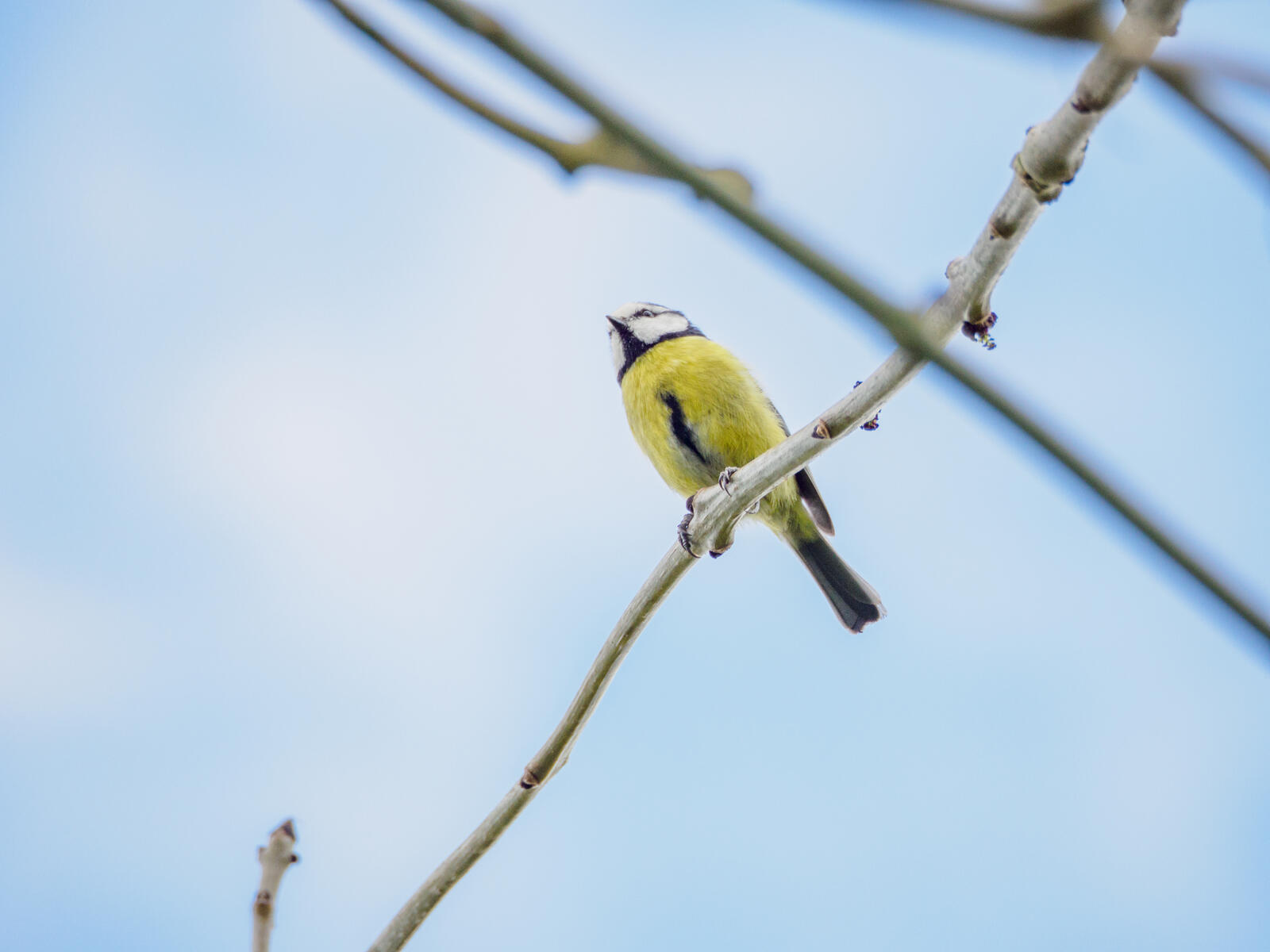 Click image for larger version

Name:	P4110178.jpg
Views:	122
Size:	91.0 KB
ID:	971749