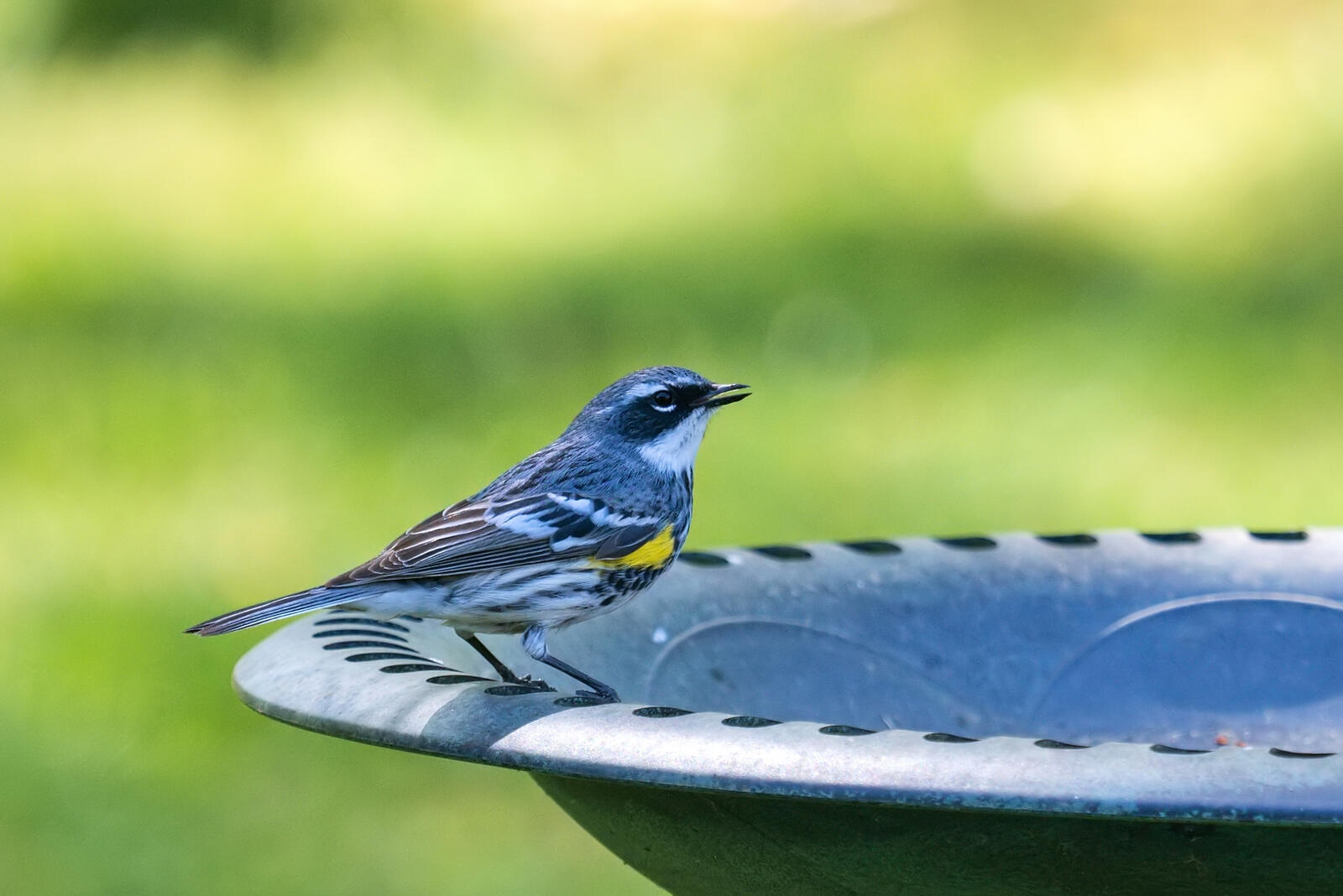 Click image for larger version

Name:	P4141570_filtered.jpg
Views:	62
Size:	136.4 KB
ID:	972641