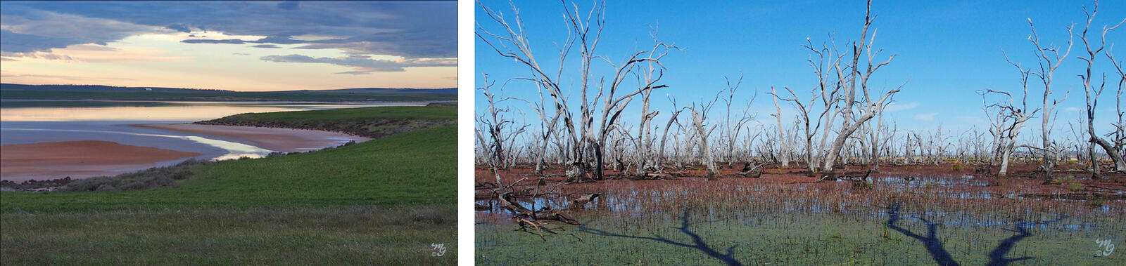 Click image for larger version  Name:	Untitled-6A.jpg Views:	22 Size:	151.2 KB ID:	974480