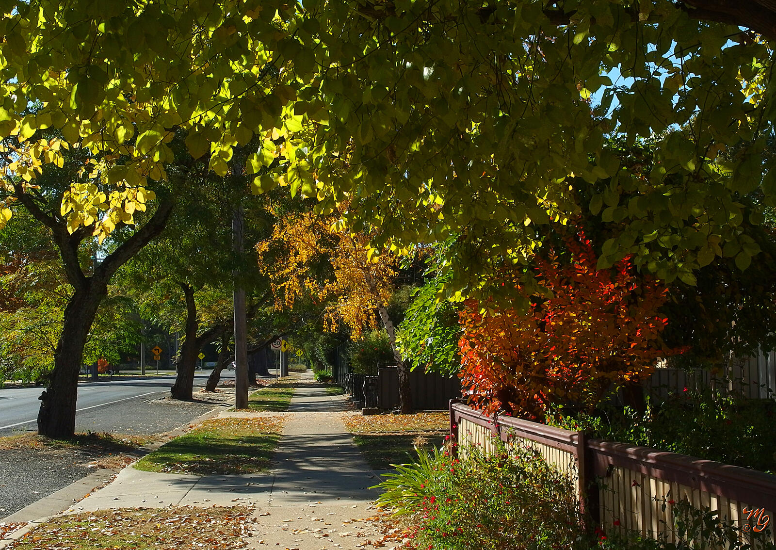 Click image for larger version

Name:	P5070009.XZ2.jpg
Views:	380
Size:	638.0 KB
ID:	975609