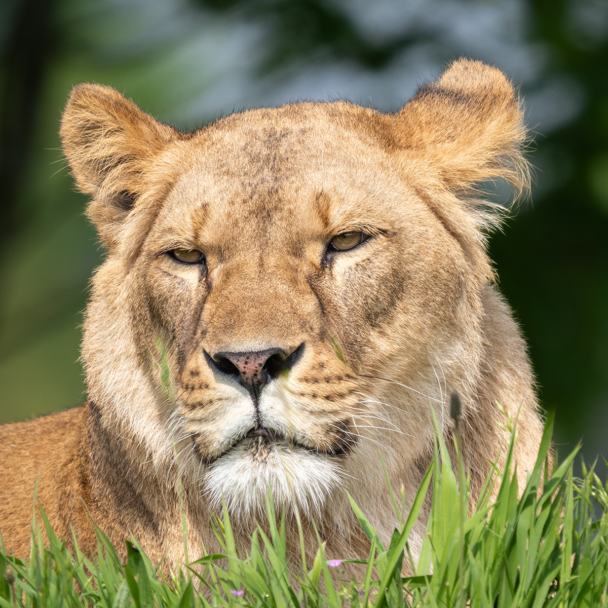 Click image for larger version

Name:	Aysa .1.jpg
Views:	114
Size:	1.52 MB
ID:	976362