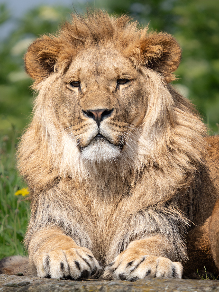 Click image for larger version

Name:	Teddi.jpg
Views:	105
Size:	1.29 MB
ID:	976363