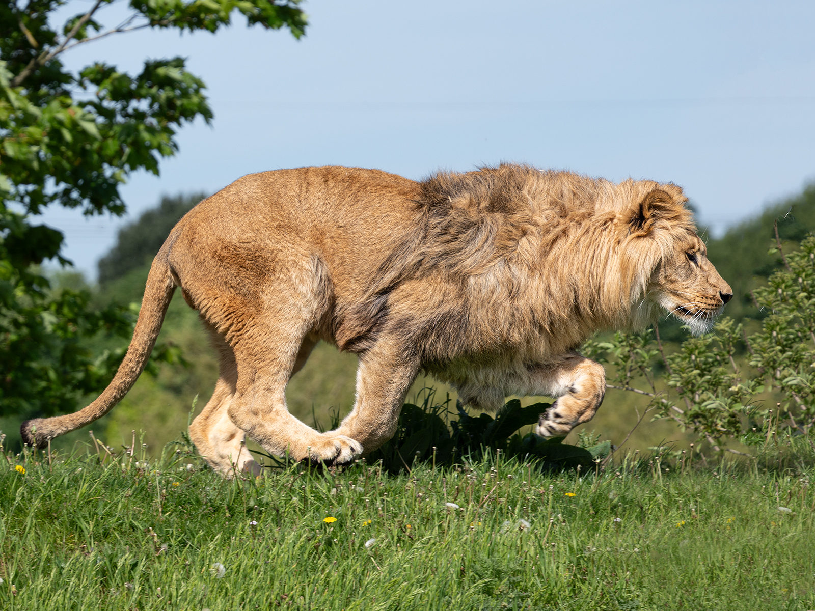 Click image for larger version

Name:	Teddi .4.jpg
Views:	107
Size:	1.80 MB
ID:	976366