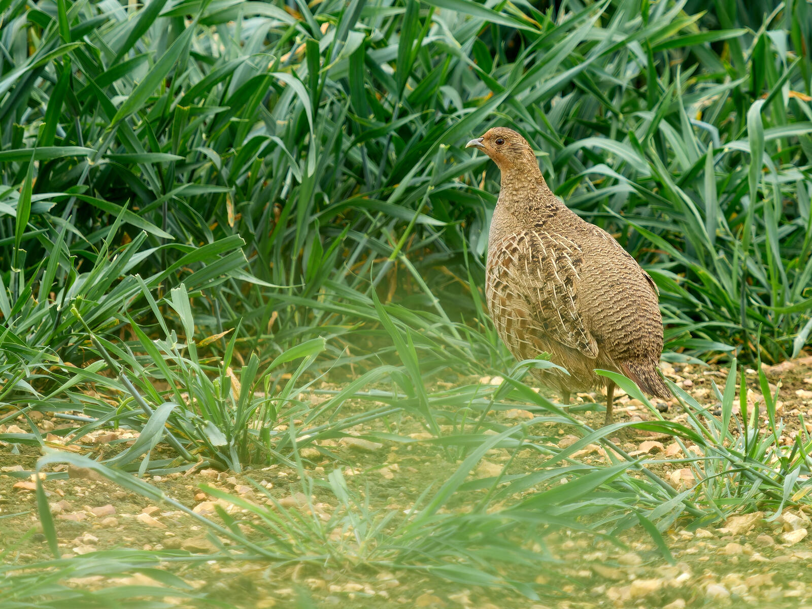 Click image for larger version

Name:	53741766084_e35e3d21ec_o.jpg
Views:	40
Size:	455.8 KB
ID:	977864