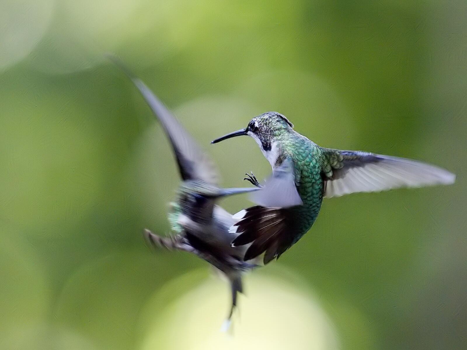 Click image for larger version

Name:	P8290131_filtered_filtered.jpg
Views:	55
Size:	152.5 KB
ID:	978025