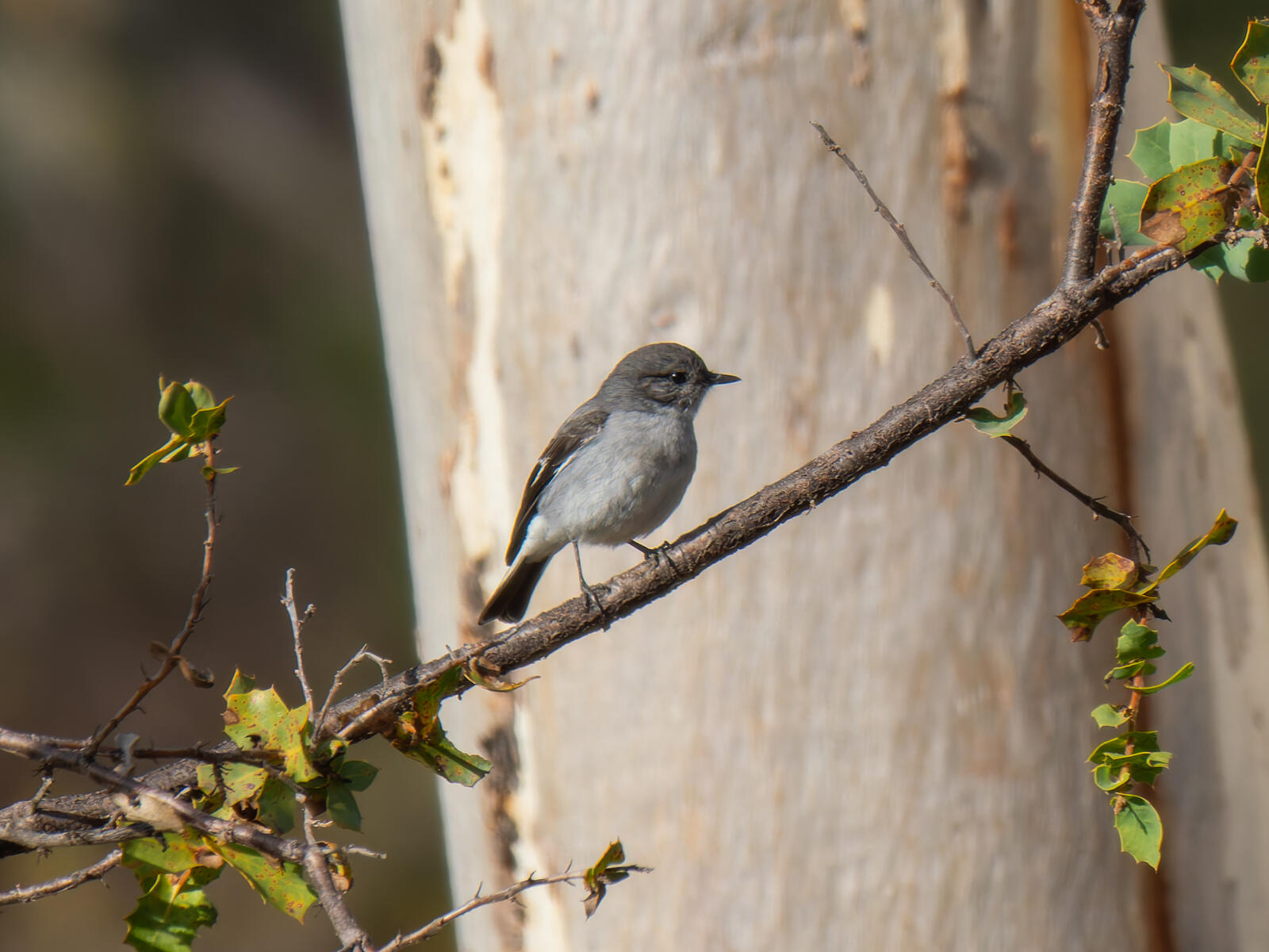 Click image for larger version

Name:	post-3.jpg
Views:	57
Size:	225.7 KB
ID:	978076