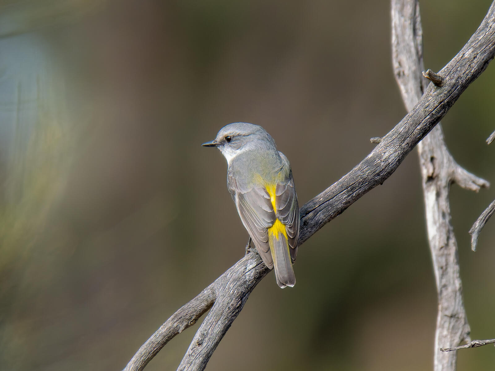 Click image for larger version

Name:	post-6.jpg
Views:	63
Size:	187.6 KB
ID:	978077