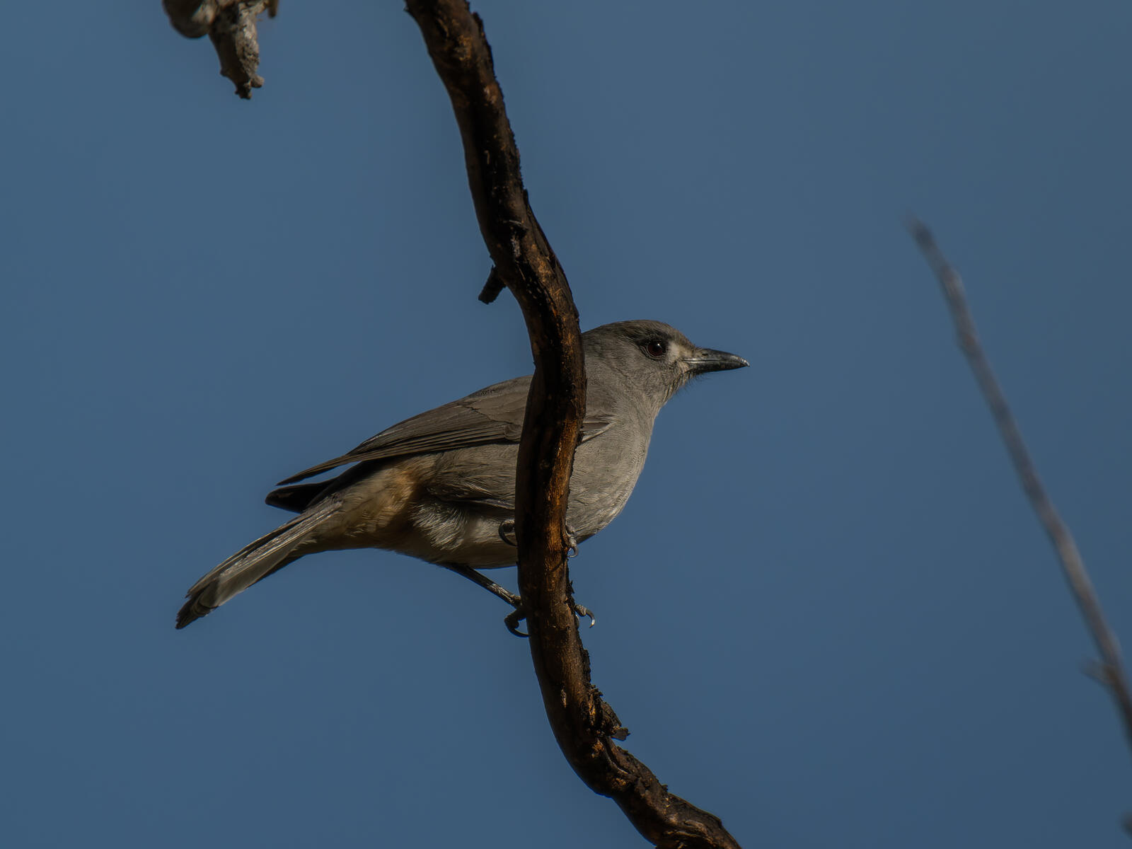 Click image for larger version

Name:	post-5.jpg
Views:	60
Size:	107.7 KB
ID:	978079