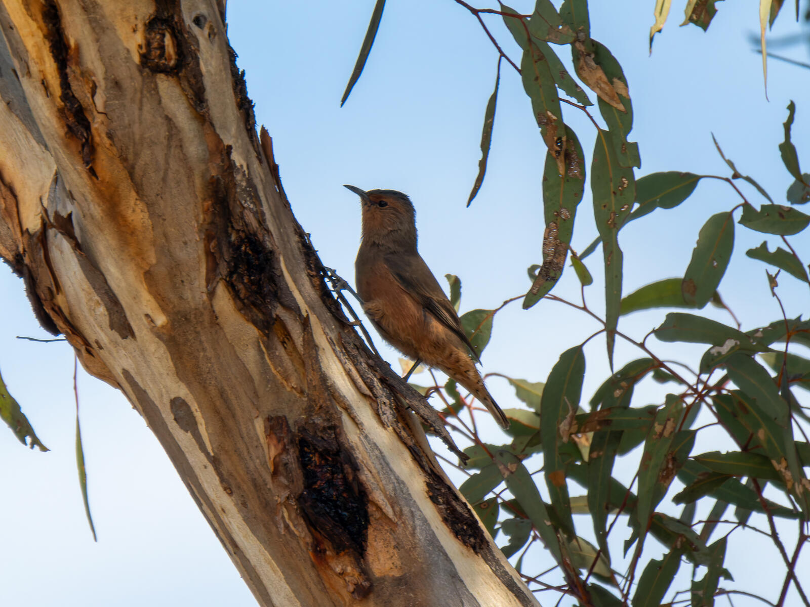 Click image for larger version

Name:	post-9.jpg
Views:	63
Size:	320.4 KB
ID:	978072