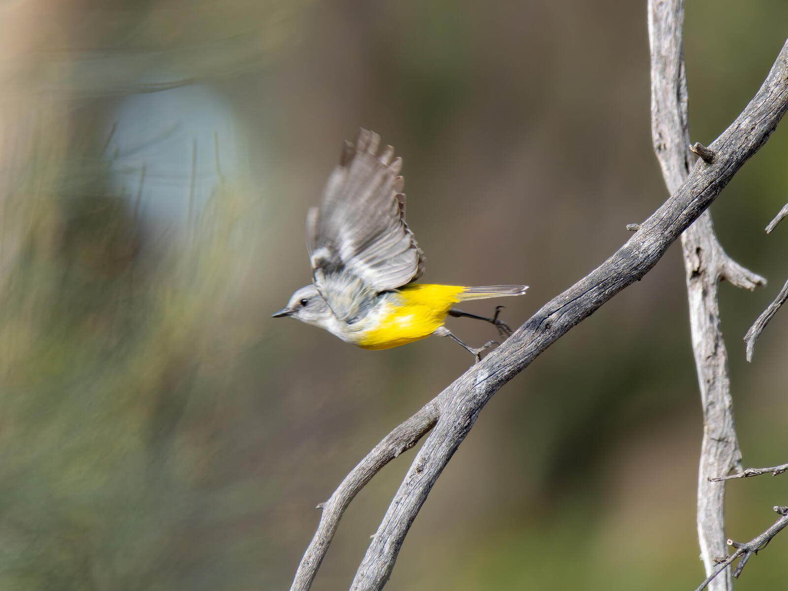 Click image for larger version

Name:	post-7.jpg
Views:	71
Size:	180.7 KB
ID:	978078