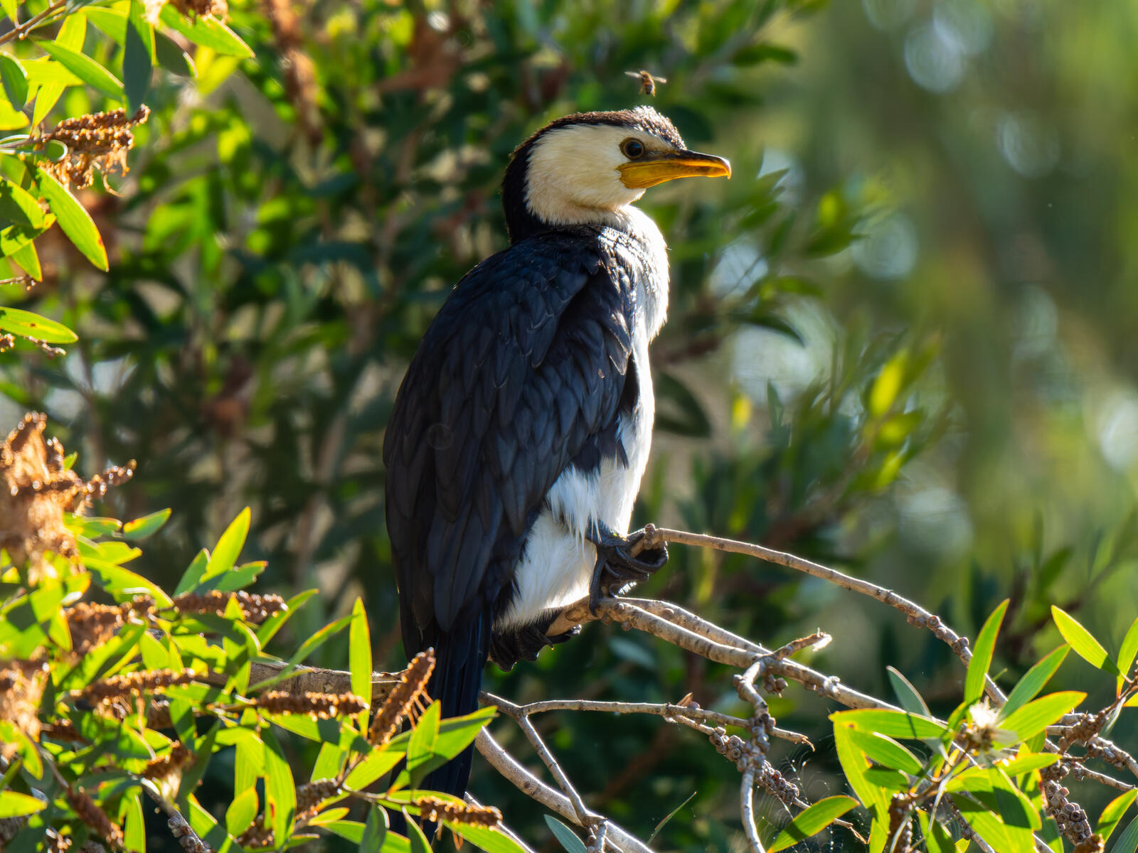 Click image for larger version

Name:	c-4.jpg
Views:	58
Size:	359.9 KB
ID:	978506