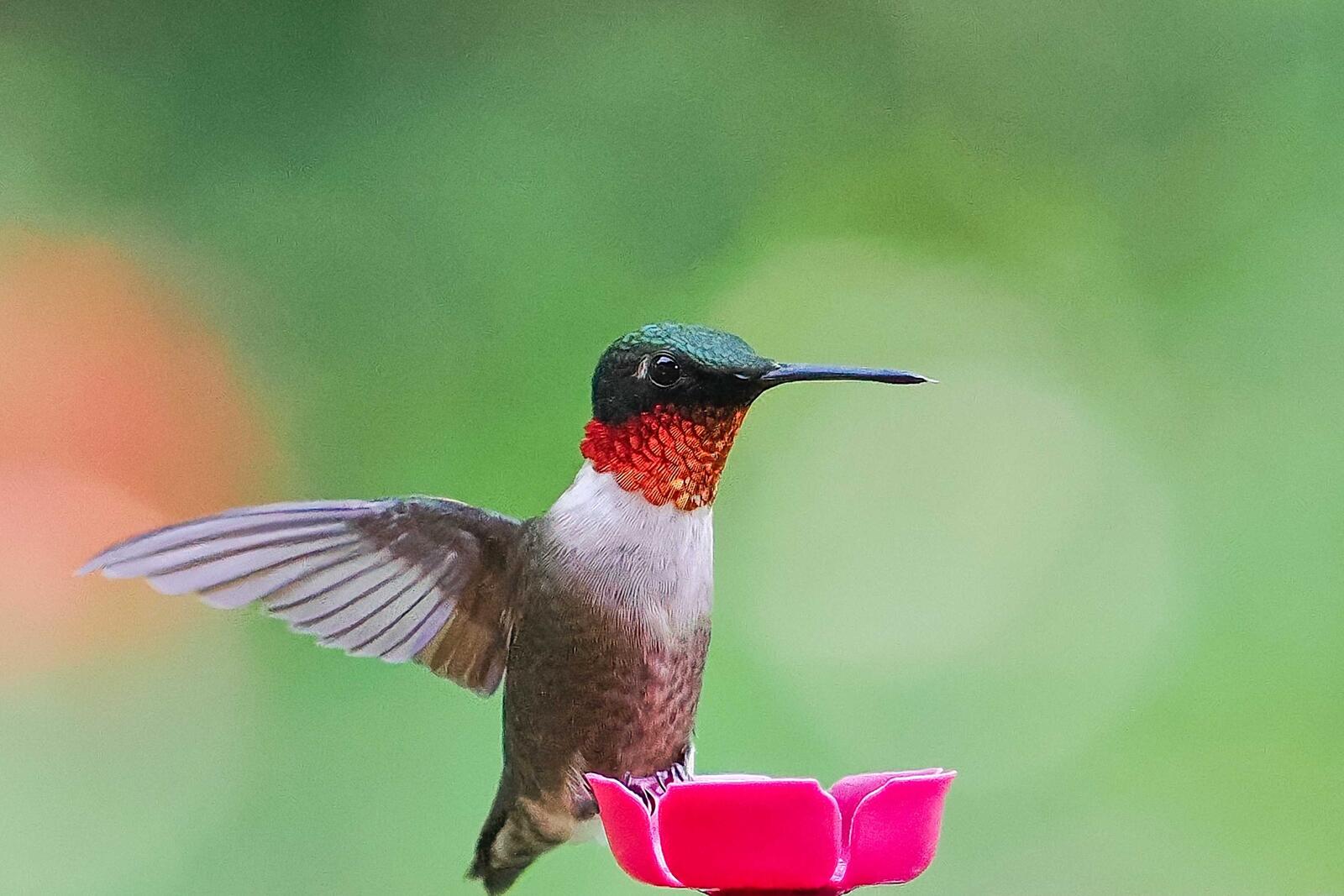 Click image for larger version

Name:	P7099480_0000_filtered.jpg
Views:	620
Size:	173.0 KB
ID:	983438