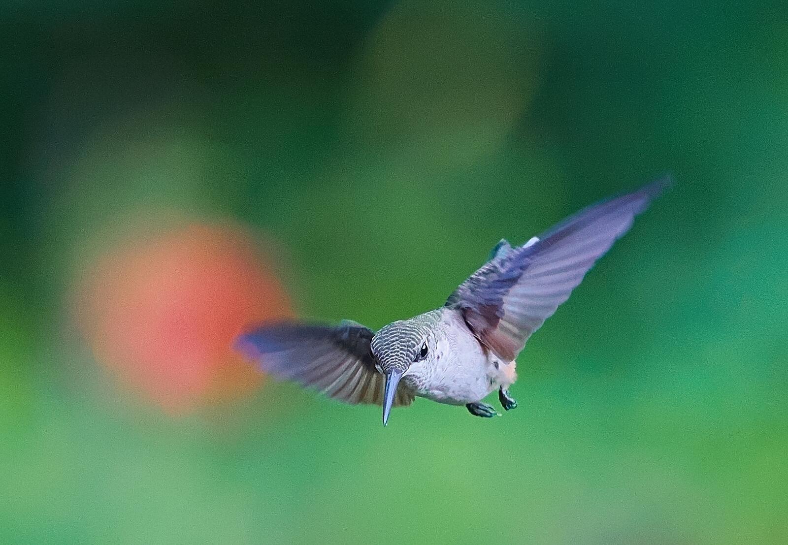 Click image for larger version

Name:	P7099538_0006.jpg
Views:	34
Size:	216.0 KB
ID:	983439