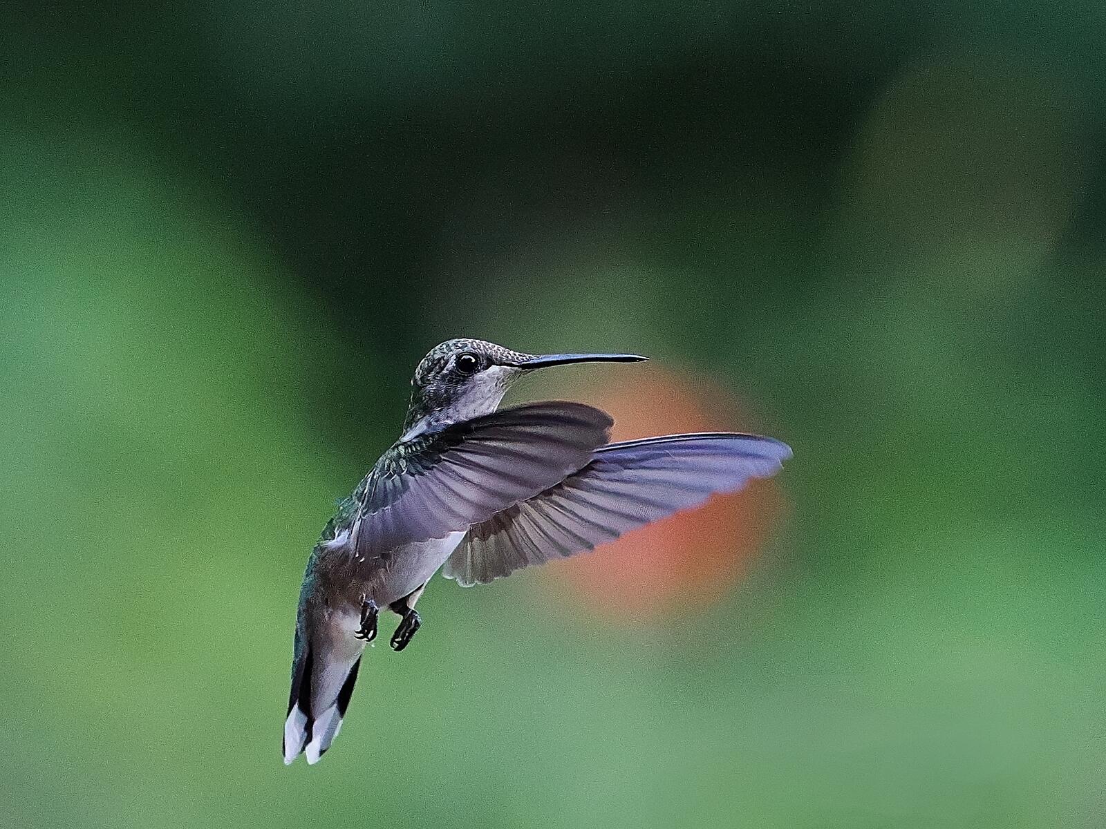 Click image for larger version

Name:	P7099497_0001.jpg
Views:	33
Size:	330.2 KB
ID:	983441