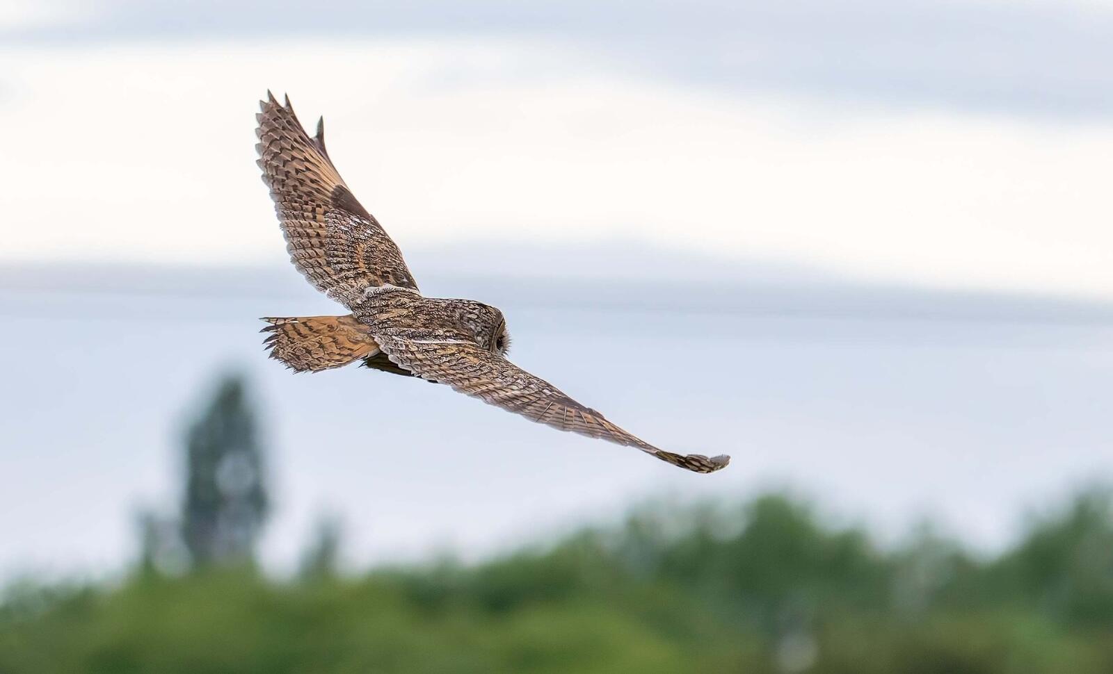 Click image for larger version  Name:	Messenger_creation_fd840631-1c28-4076-913f-6448332db827.jpg Views:	0 Size:	73.3 KB ID:	983545