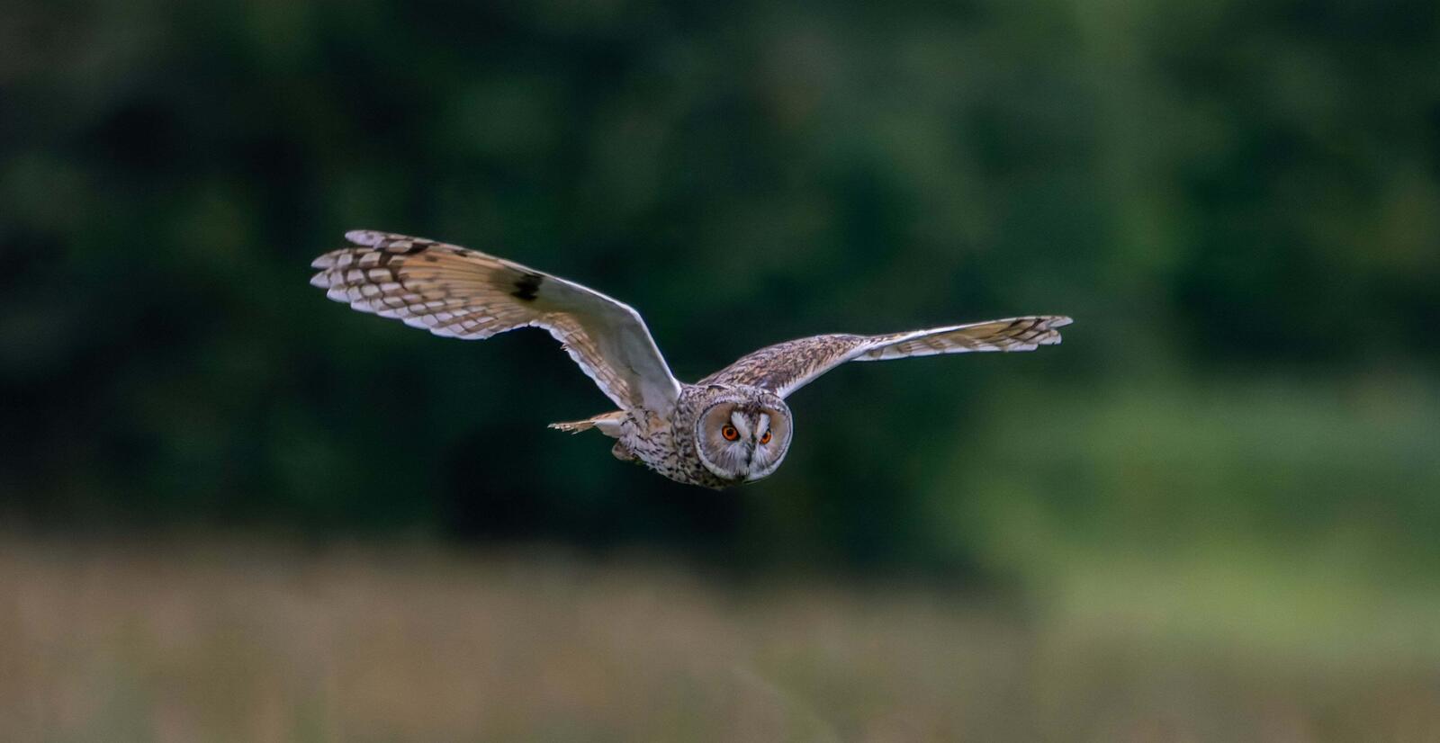 Click image for larger version  Name:	Messenger_creation_216536a8-8571-4c55-b194-146fa160092c.jpg Views:	0 Size:	61.1 KB ID:	983546