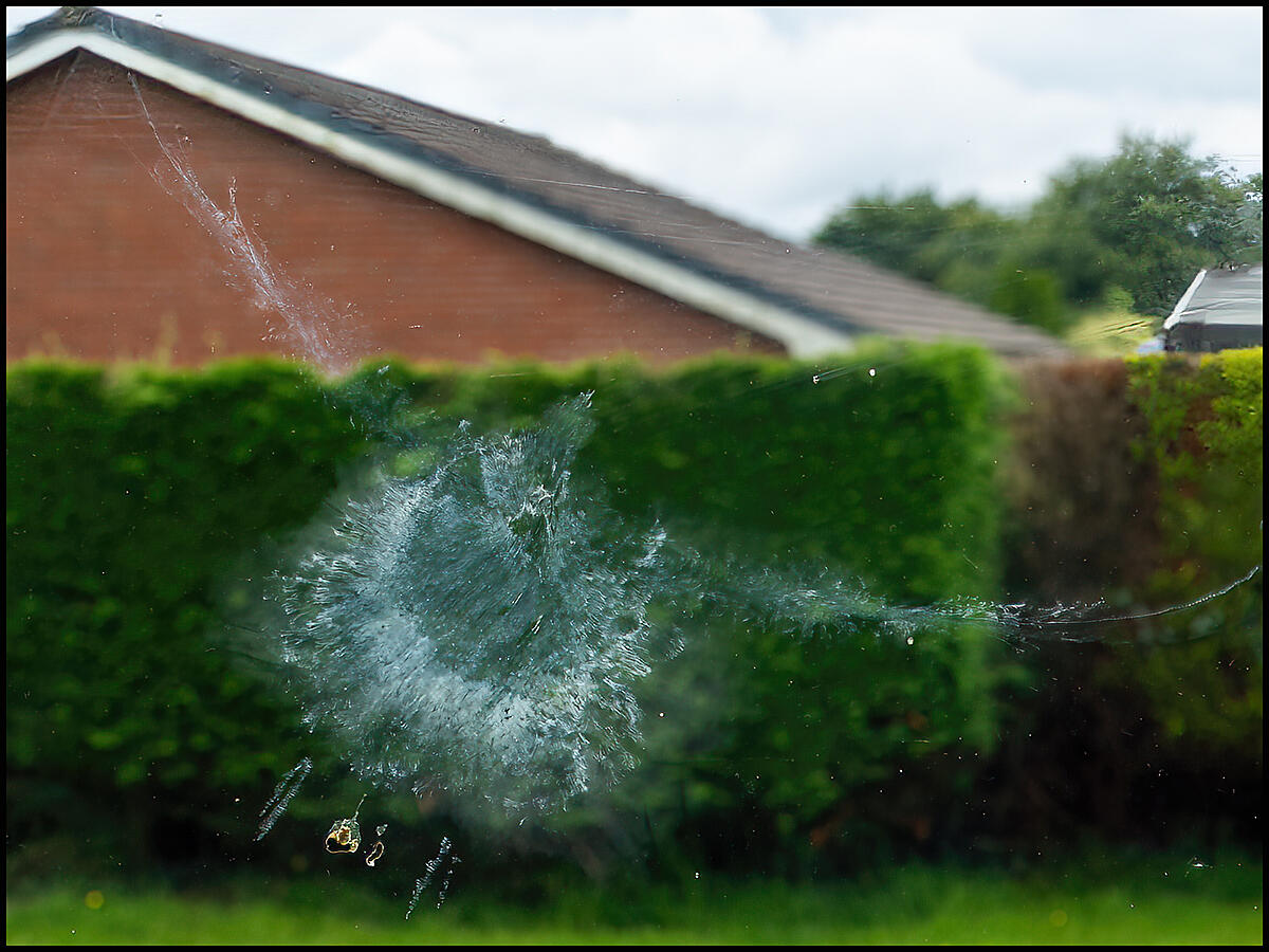 Click image for larger version

Name:	P7130356-RS.jpg
Views:	75
Size:	1.27 MB
ID:	983583