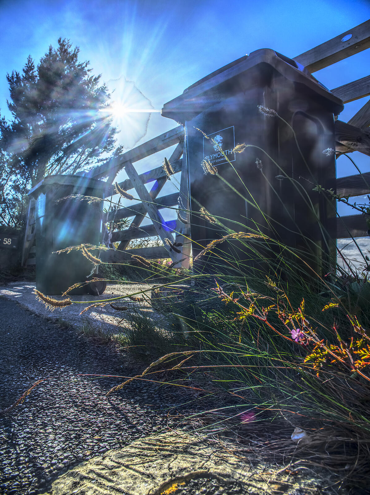Click image for larger version  Name:	Other Oreston. Weeds growing out of a wall by a wheelie bin at the end of Marine Road. small.jpg Views:	0 Size:	544.4 KB ID:	983884