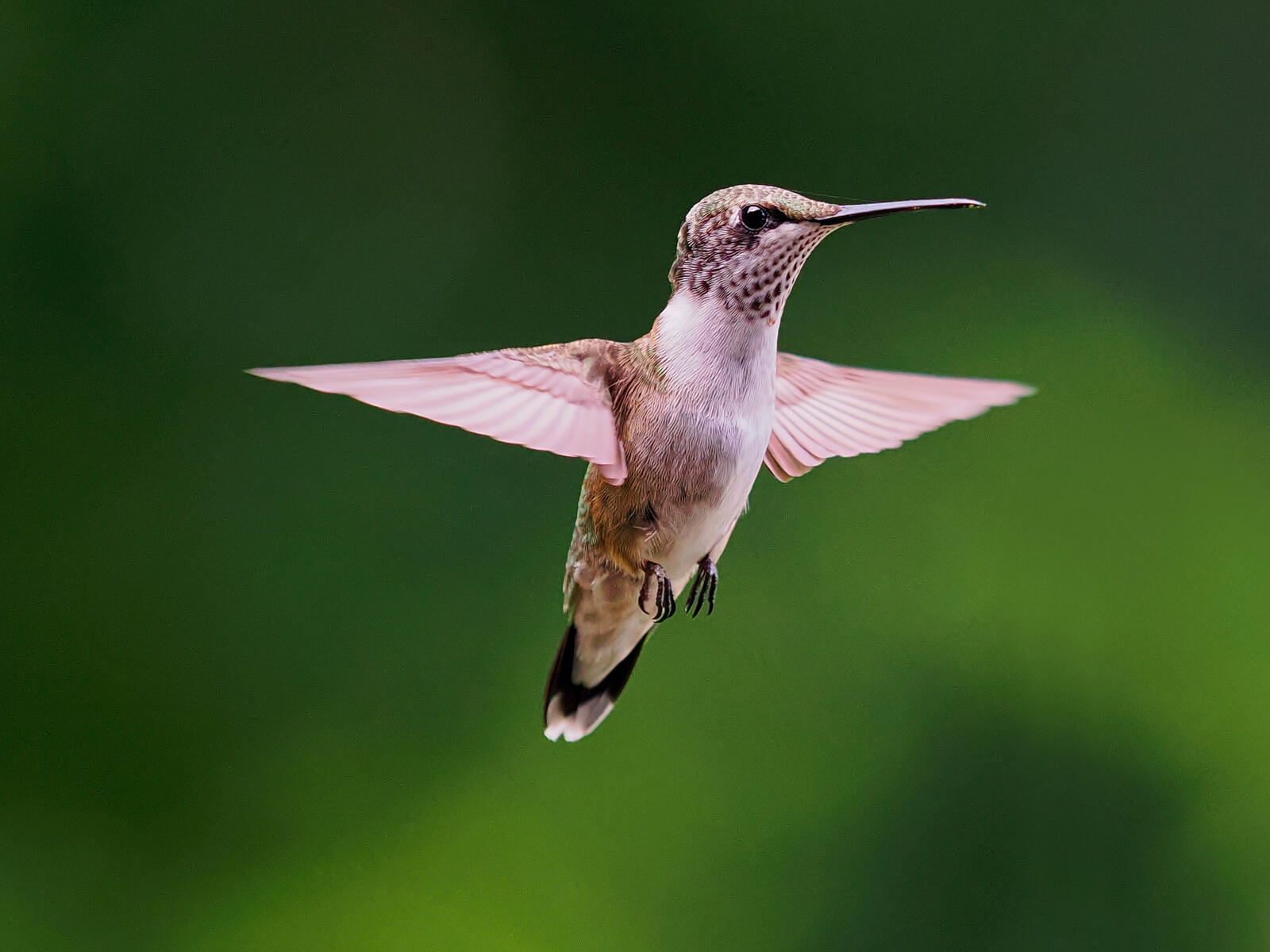 Click image for larger version

Name:	P7160885_filtered.jpg
Views:	47
Size:	159.9 KB
ID:	984049