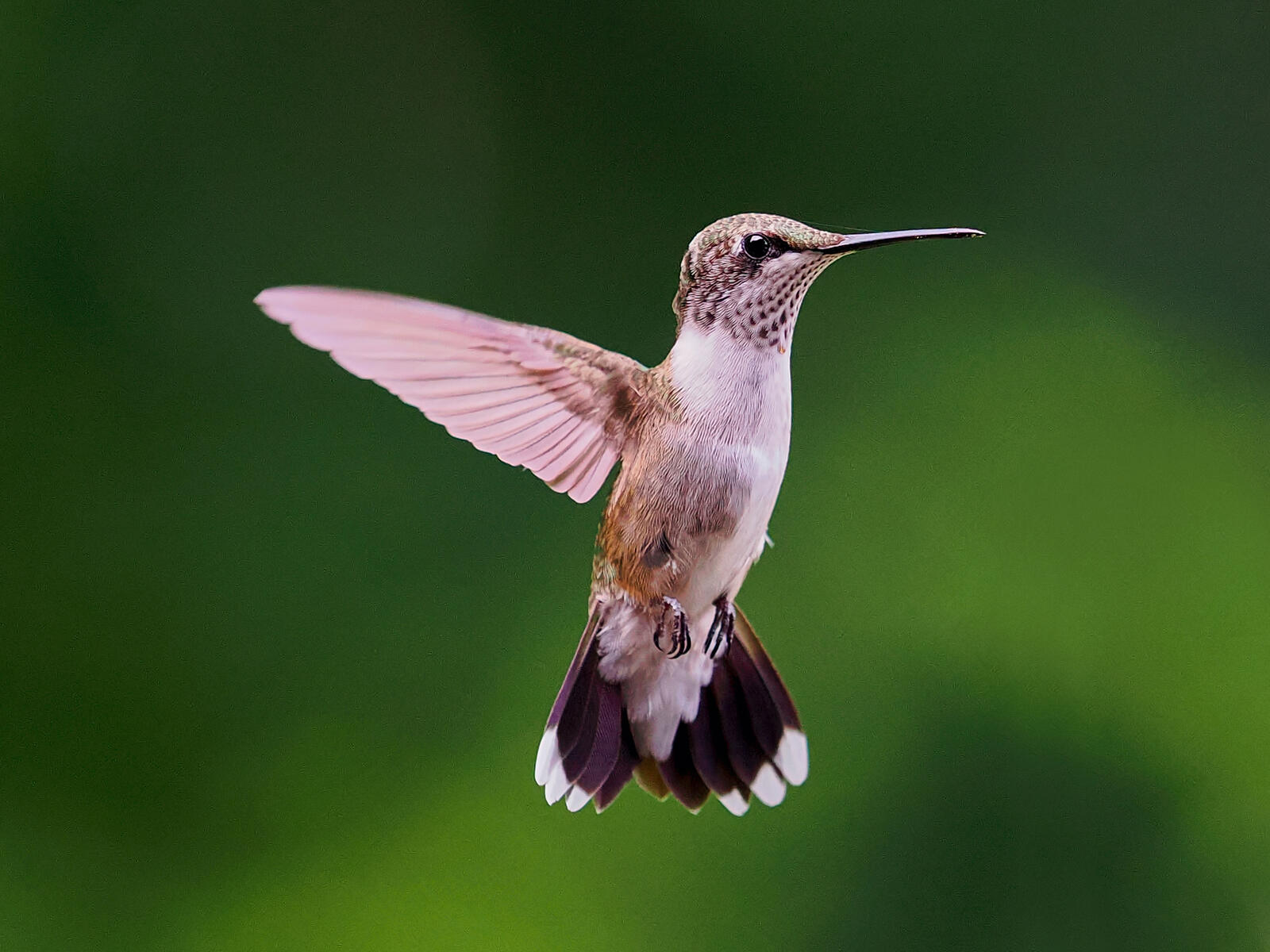 Click image for larger version

Name:	P7160880_filtered.jpg
Views:	45
Size:	197.0 KB
ID:	984050