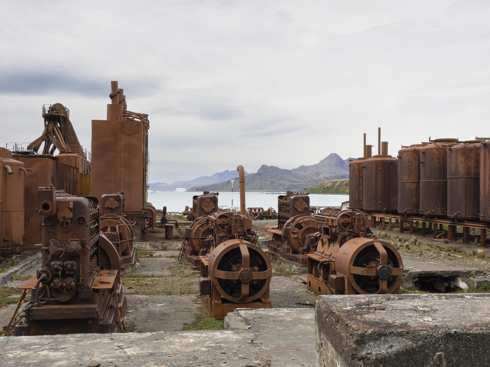 Click image for larger version

Name:	_C232364-d.jpg
Views:	87
Size:	294.7 KB
ID:	988202