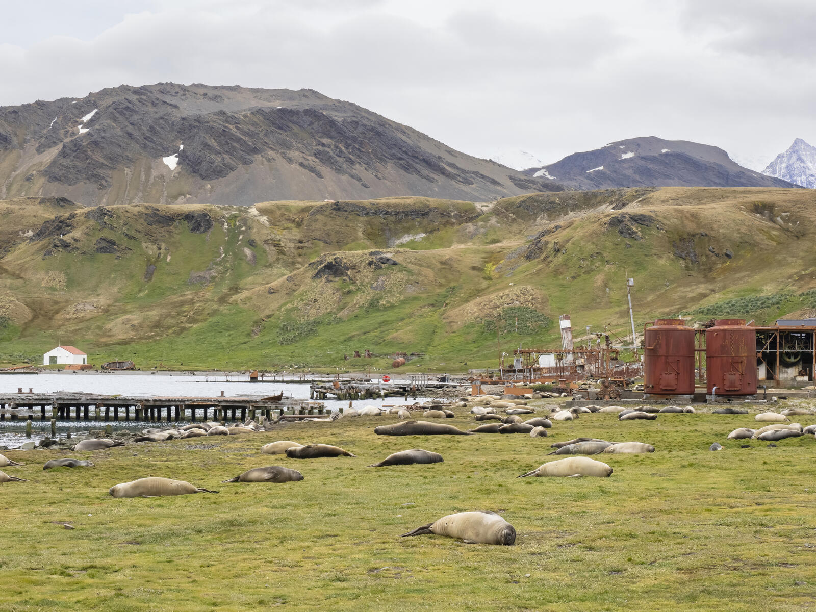 Click image for larger version

Name:	_C232401-d.jpg
Views:	86
Size:	381.1 KB
ID:	988206