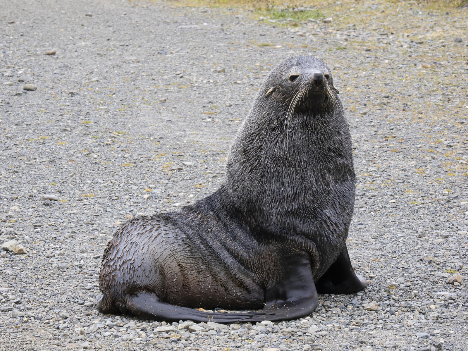 Click image for larger version

Name:	_C232376-d.jpg
Views:	86
Size:	541.8 KB
ID:	988208