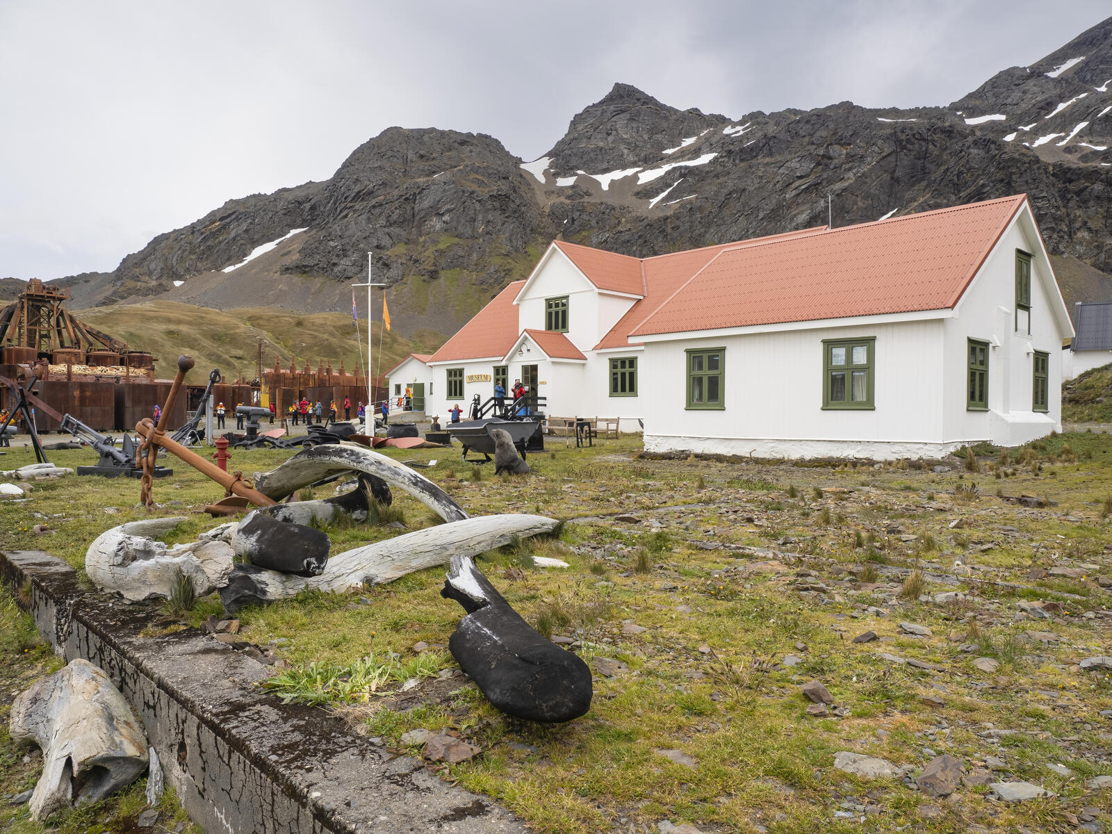 Click image for larger version

Name:	_C232350-d.jpg
Views:	85
Size:	482.5 KB
ID:	988209