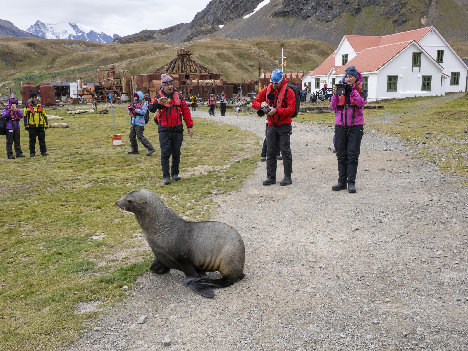 Click image for larger version

Name:	_C232390-d.jpg
Views:	87
Size:	499.5 KB
ID:	988210