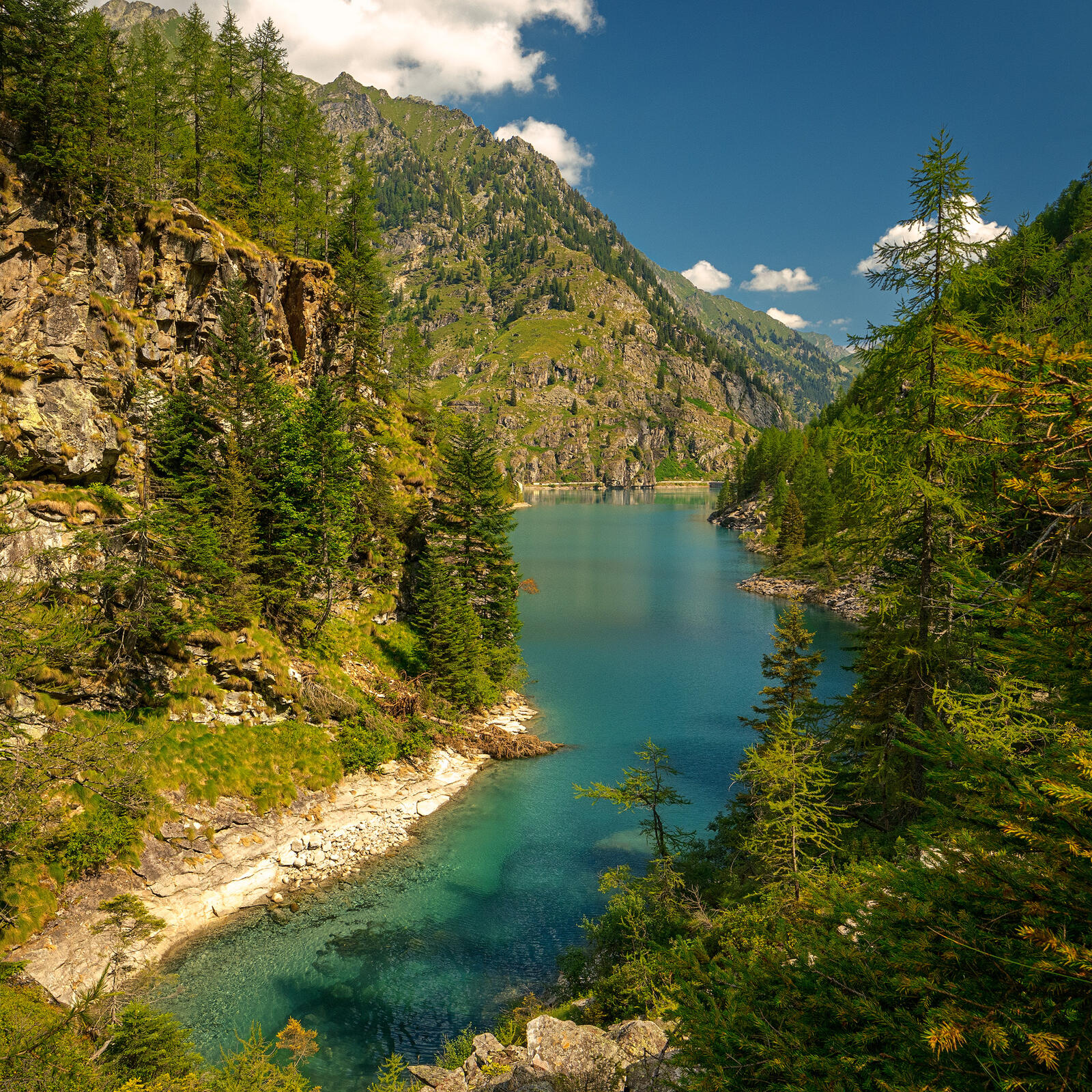 Click image for larger version

Name:	P8133243-Modifica-_Fb.jpg
Views:	524
Size:	977.7 KB
ID:	988339