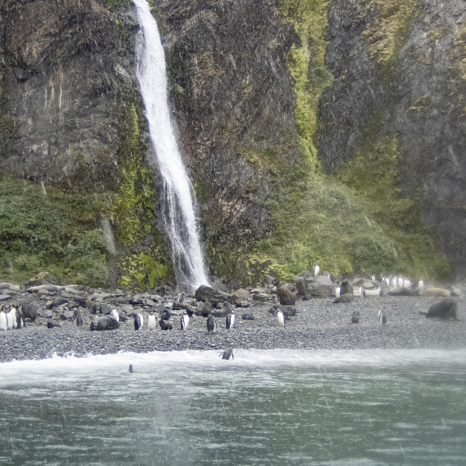 Click image for larger version  Name:	_C230283-d.jpg Views:	0 Size:	593.4 KB ID:	989510