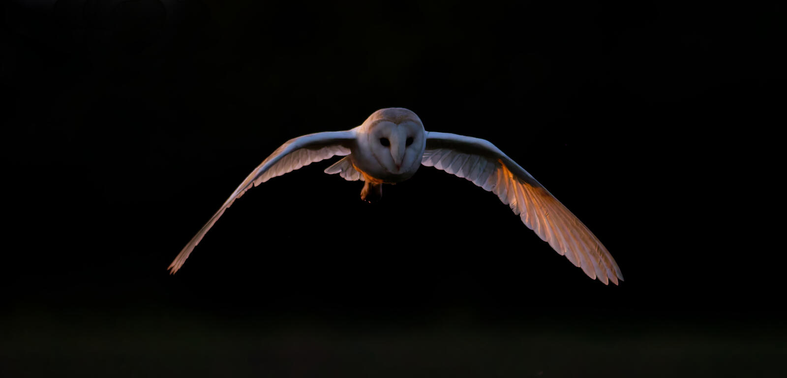 Click image for larger version  Name:	P8238400 af.jpg Views:	4 Size:	39.3 KB ID:	989830