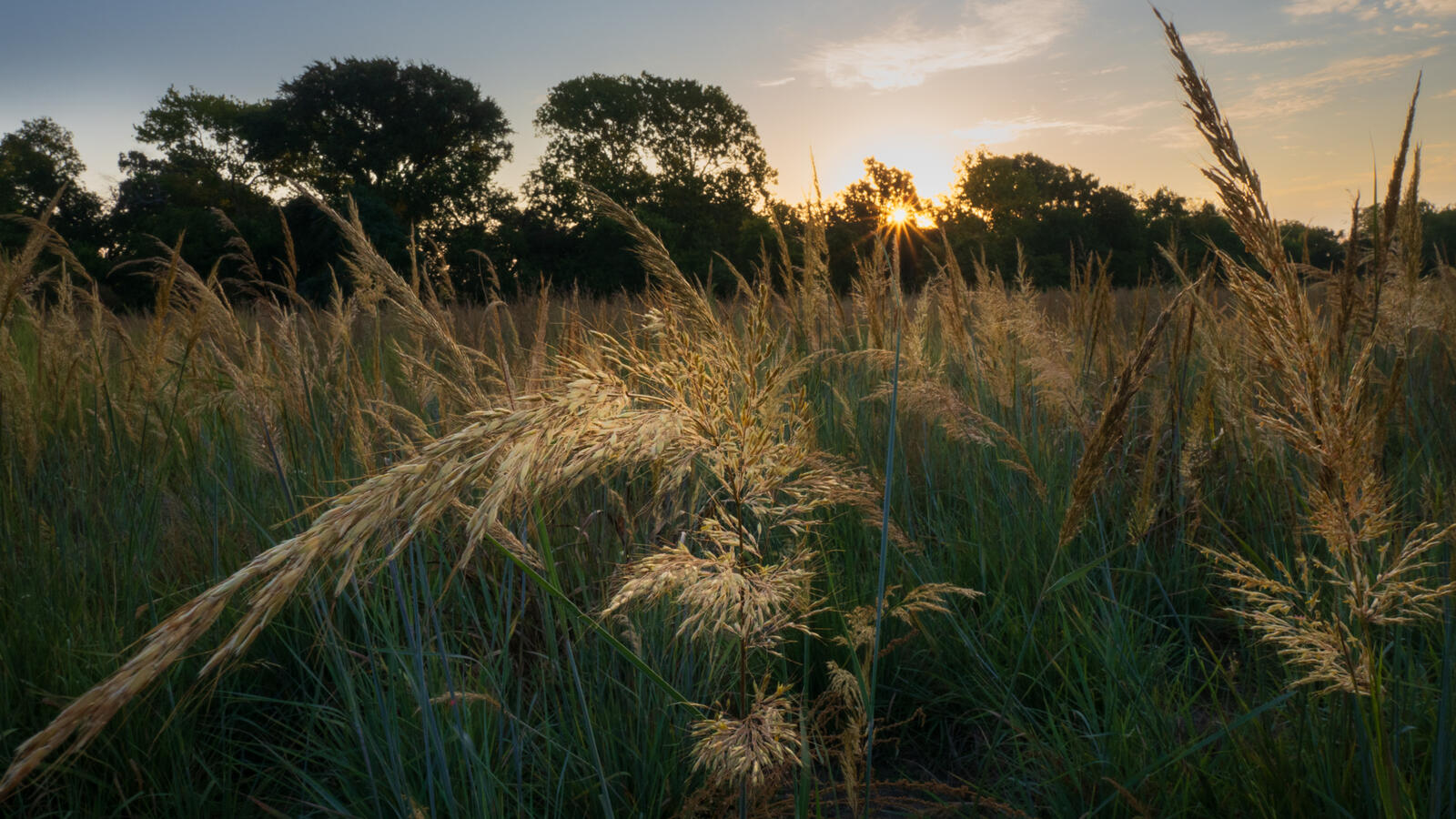 Click image for larger version

Name:	_8240235.jpg
Views:	266
Size:	347.9 KB
ID:	989837