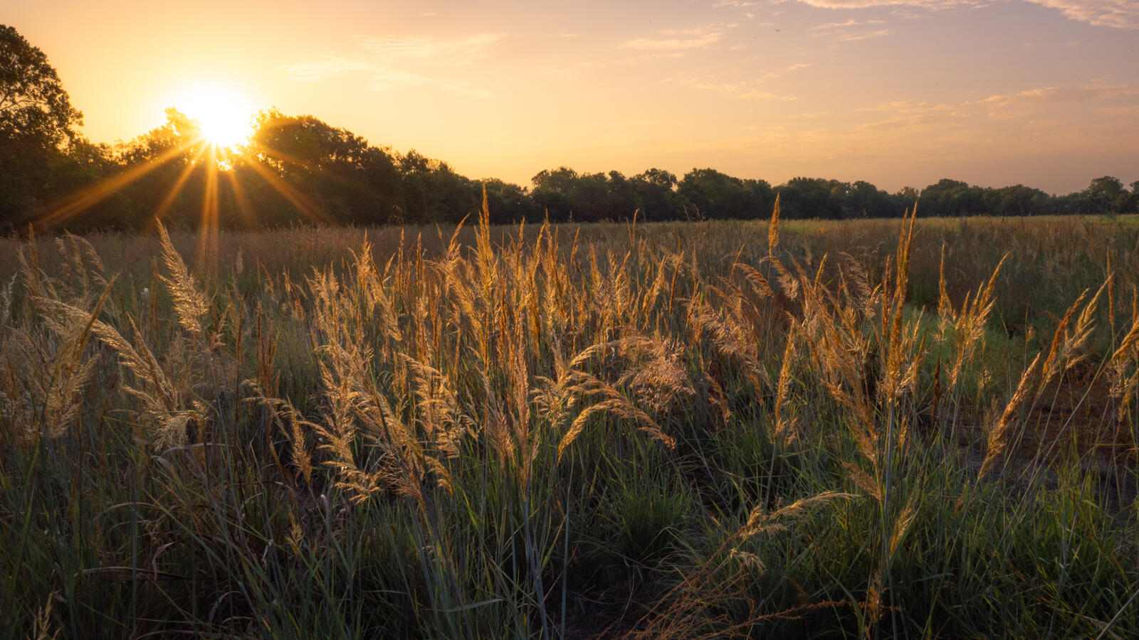 Click image for larger version

Name:	_8240299.jpg
Views:	62
Size:	339.0 KB
ID:	989838